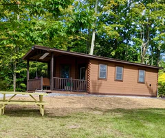 Brown wood cabin with a covered porch on a grassy lot with trees behind it.