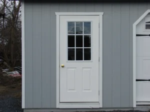 9-Lite Prehung Door