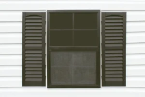 Black Window