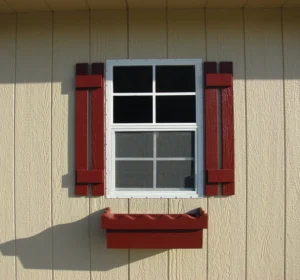 Window and Flower Box
