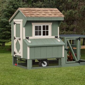 Custom green small chicken coop in backyard.